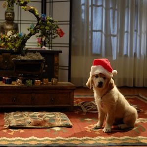 Foto Navidad con los Buddies: En busca de Santa Can