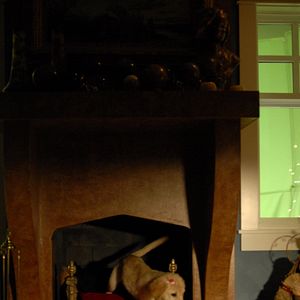 Foto Navidad con los Buddies: En busca de Santa Can