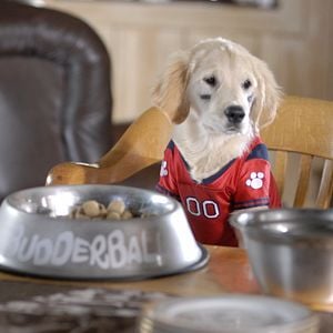 Foto Navidad con los Buddies: En busca de Santa Can