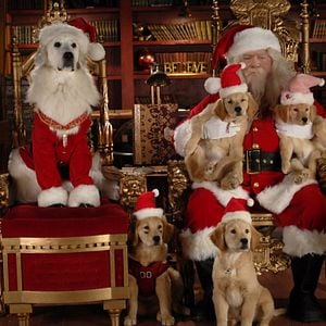 Foto Navidad con los Buddies: En busca de Santa Can