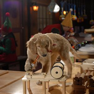 Foto Navidad con los Buddies: En busca de Santa Can