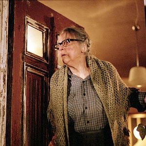 Foto Die wilden Hühner