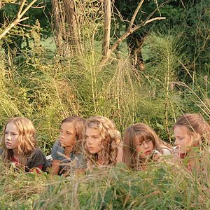 Foto Die wilden Hühner