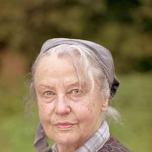 Foto Die wilden Hühner