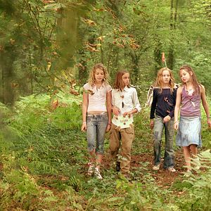 Foto Die wilden Hühner