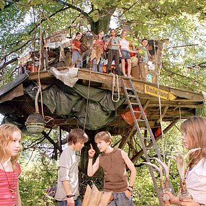 Foto Die wilden Hühner