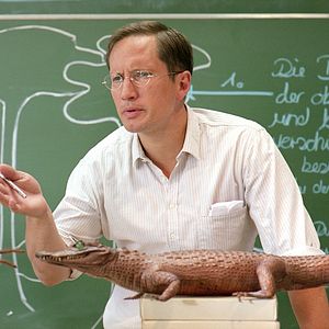 Foto Die wilden Hühner