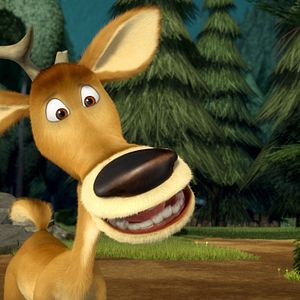 Foto Colegas en el bosque 2