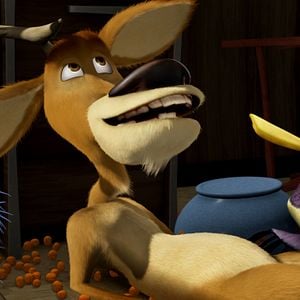 Foto Colegas en el bosque 2