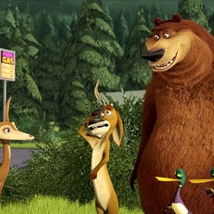 Foto Colegas en el bosque 2