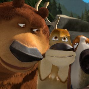 Foto Colegas en el bosque 2