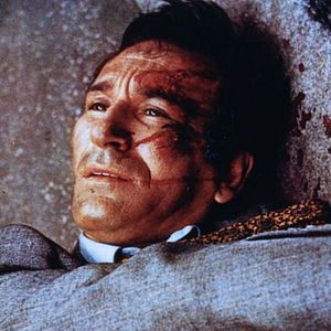 Foto El pájaro de las plumas de cristal