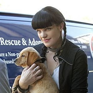 Foto Pauley Perrette