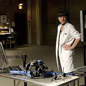 Foto Pauley Perrette