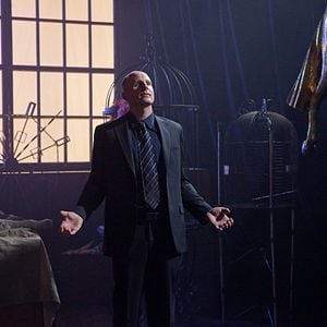 Foto Michael Daingerfield