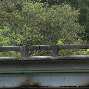 Foto Ian Somerhalder