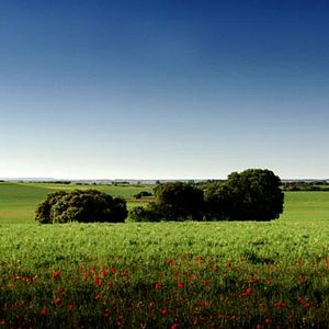 Foto Los caminos de la memoria