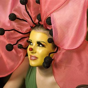 Foto Directo a la fama