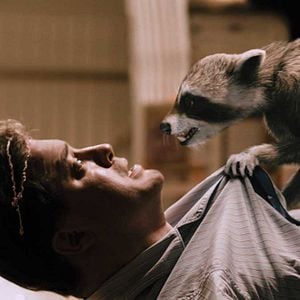 Foto En pata de guerra