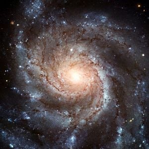 Foto Patricio Guzmán