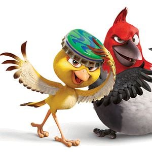 Foto Carlos Saldanha