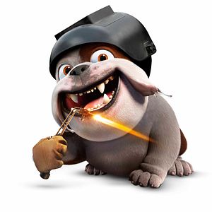 Foto Carlos Saldanha