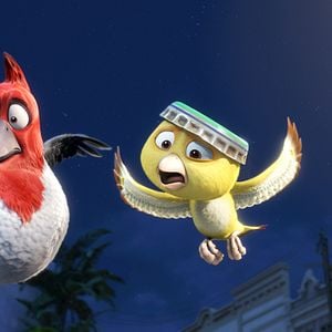 Foto Carlos Saldanha