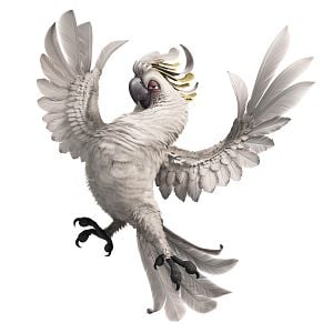 Foto Carlos Saldanha