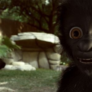 Foto Copito de nieve