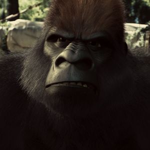 Foto Copito de nieve