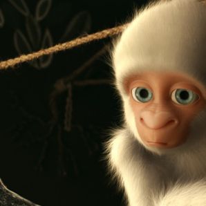 Foto Copito de nieve