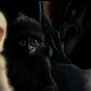 Foto Copito de nieve