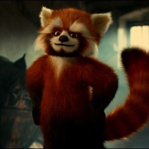 Foto Copito de nieve