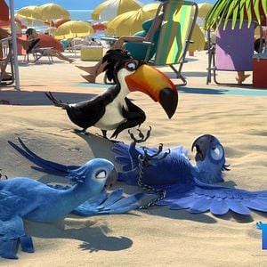 Foto Carlos Saldanha