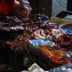 Foto Los pasos perdidos