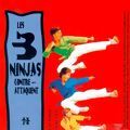 Foto 3 Ninjas contratacan