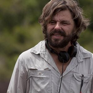 Foto 600 kilos de oro puro