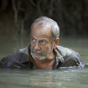 Foto 600 kilos de oro puro