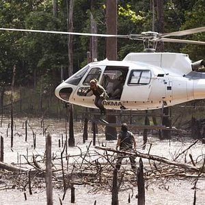 Foto 600 kilos de oro puro