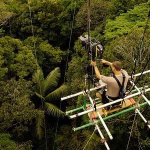 Foto 600 kilos de oro puro