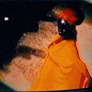 Foto Vincent Navarro