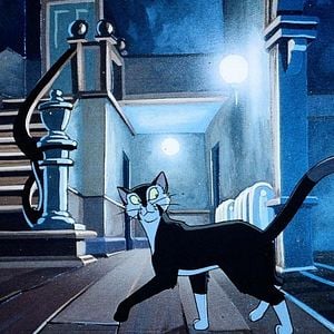 Foto Francis el detectigato