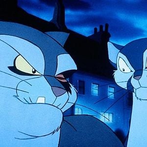 Foto Francis el detectigato