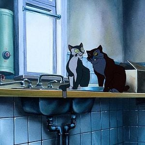 Foto Francis el detectigato