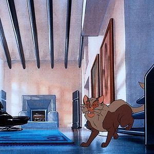 Foto Francis el detectigato