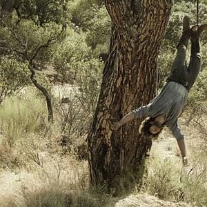 Foto Tierra de Lobos