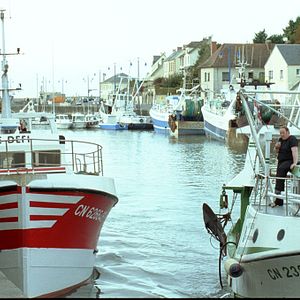 Foto El amor de Tony