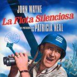 Foto La flota silenciosa