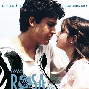 Foto Una rosa de Francia