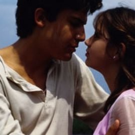 Foto Una rosa de Francia